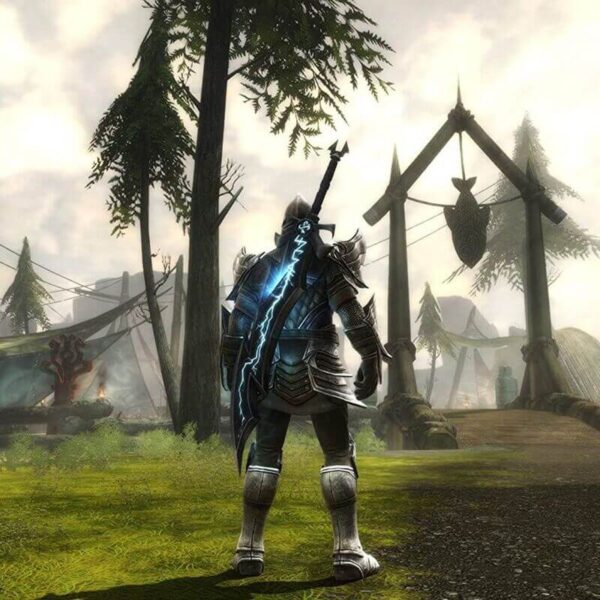 Kingdoms of Amalur: Re-Reckoning - Steam ключ
