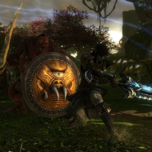 Kingdoms of Amalur: Re-Reckoning - Steam ключ