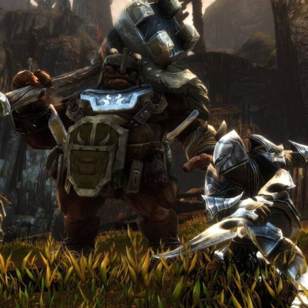 Kingdoms of Amalur: Re-Reckoning - Steam ключ