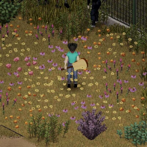 Project Zomboid - Steam ключ